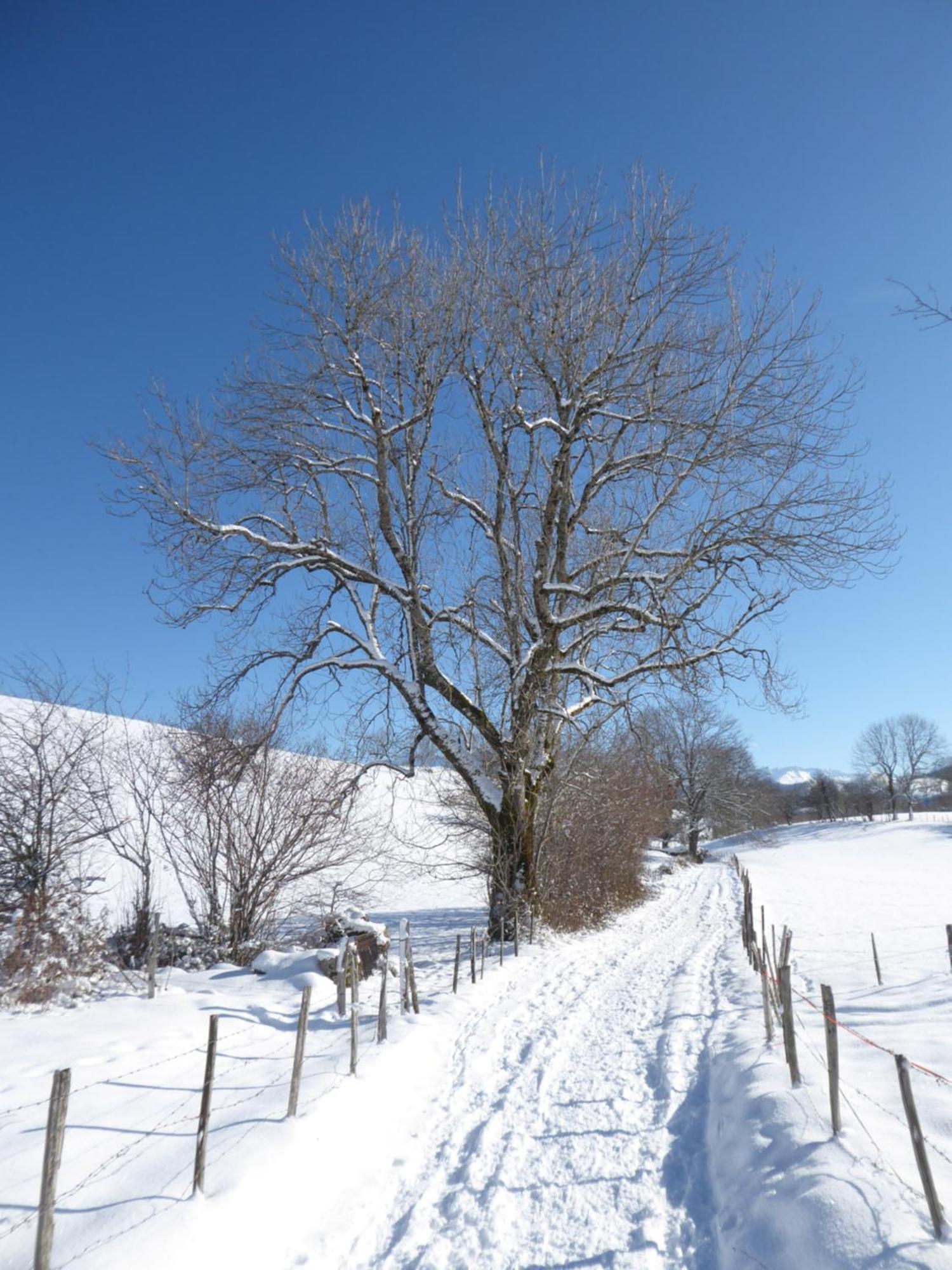 Un Cocon Pour Deux Saint-Lary-Soulan Exterior foto